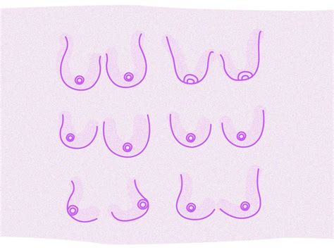 boob lineup|The 12 Different Breast Shapes and Types